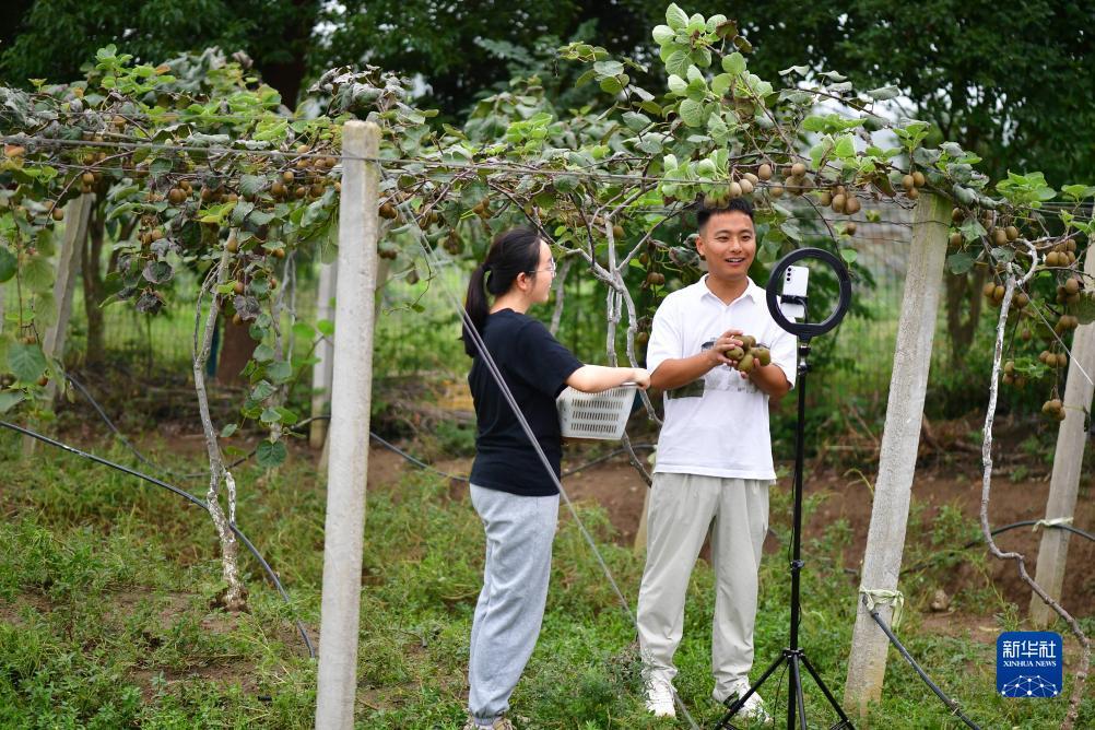 金沙登陆网址
